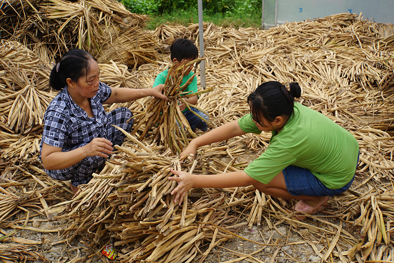 Chị Nguyễn Thị Lan (b&amp;igrave;a tr&amp;aacute;i) tiếp cận được vốn vay x&amp;acirc;y dựng nh&amp;agrave; m&amp;agrave;ng trữ lục b&amp;igrave;nh, gi&amp;uacute;p c&amp;ocirc;ng việc thuận lợi hơn