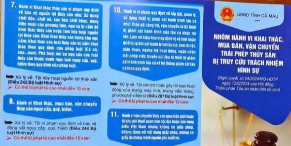 Cà Mau: Tiếp tục phổ biến các quy định về chống khai thác, mua bán, vận  chuyển trái phép thủy sản