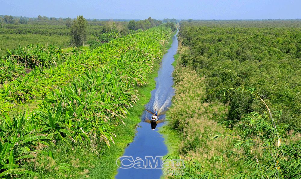 Rừng U Minh hướng đến ph&amp;aacute;t triển du lịch.