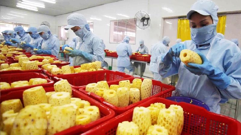 B&amp;igrave;nh Dương đ&amp;atilde; thu h&amp;uacute;t th&amp;ecirc;m 23.490 tỷ đồng vốn đầu tư trong nước