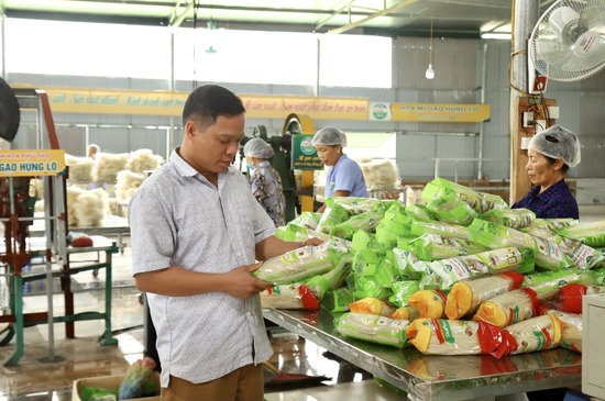 Sản phẩm mỳ gạo H&amp;ugrave;ng L&amp;ocirc; được nhiều người ti&amp;ecirc;u d&amp;ugrave;ng biết đến nhờ s&amp;agrave;n TMĐT