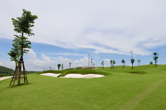 Phú Thọ: Sân golf Tam Nông sẵn sàng đón khách trong tháng 9/2024