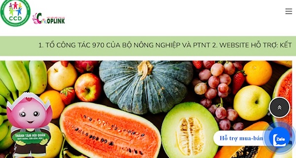 Nhiều người sản xuất, thương l&amp;aacute;i v&amp;agrave; người ti&amp;ecirc;u thụ t&amp;agrave;i miền Nam đ&amp;atilde; tiếp cận với người d&amp;acirc;n qua trang web đặt h&amp;agrave;ng của Tổ 970