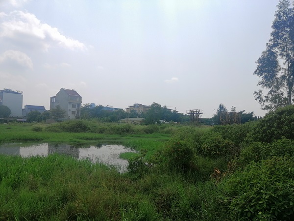 H&amp;agrave; Tĩnh xem x&amp;eacute;t thu hồi đất tại loạt c&amp;ocirc;ng ty sai phạm
