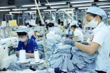Ảnh hưởng dịch bệnh, nhiều hoạt động xuất khẩu bị trì hoãn