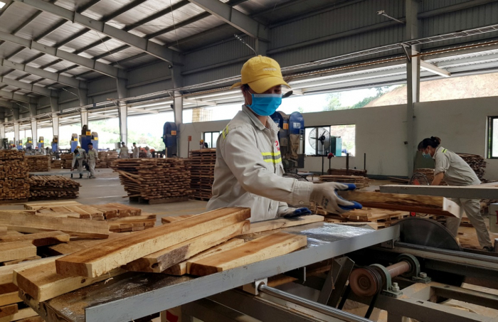 Cơ sơ chế biến gỗ tại C&amp;ocirc;ng ty cổ phần Gemmy T&amp;acirc;n Sơn cụm c&amp;ocirc;ng nghiệp T&amp;acirc;n Ph&amp;uacute;, huyện T&amp;acirc;n Sơn (Ph&amp;uacute; Thọ)