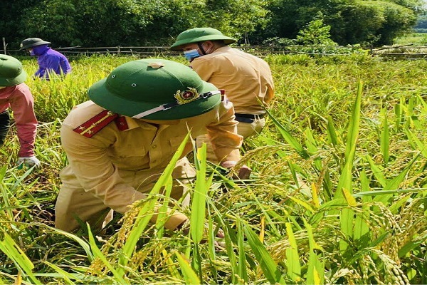 Đa phần những diện t&amp;iacute;ch ruộng lầy lội, nhiều nước, l&amp;uacute;a bị đổ do mưa nhiều n&amp;ecirc;n c&amp;aacute;c lực lượng tham gia phải d&amp;ugrave;ng liềm để gặt l&amp;uacute;a gi&amp;uacute;p người d&amp;acirc;n. Ngo&amp;agrave;i việc gặt l&amp;uacute;a, c&amp;aacute;c lực lượng hỗ trợ c&amp;ograve;n tuy&amp;ecirc;n truyền người d&amp;acirc;n thu hoạch l&amp;uacute;a với phương ch&amp;acirc;m &amp;ldquo;xanh nh&amp;agrave; hơn gi&amp;agrave; đồng&amp;rdquo;.