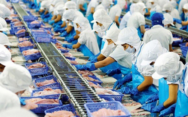 Năm 2020, sản lượng xuất khẩu c&amp;aacute; tra, c&amp;aacute; basa của Việt Nam sang Hoa Kỳ đạt khoảng 83.159 tấn, tương ứng kim ngạch khoảng 228,79 triệu USD