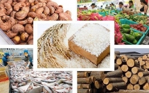 Những mặt hàng nông sản biến động giá trong tháng 8