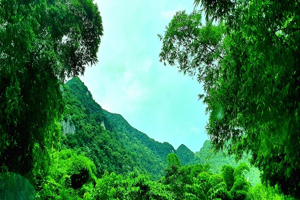 Một g&amp;oacute;c rừng xanh tự nhi&amp;ecirc;n của huyện Như Thanh