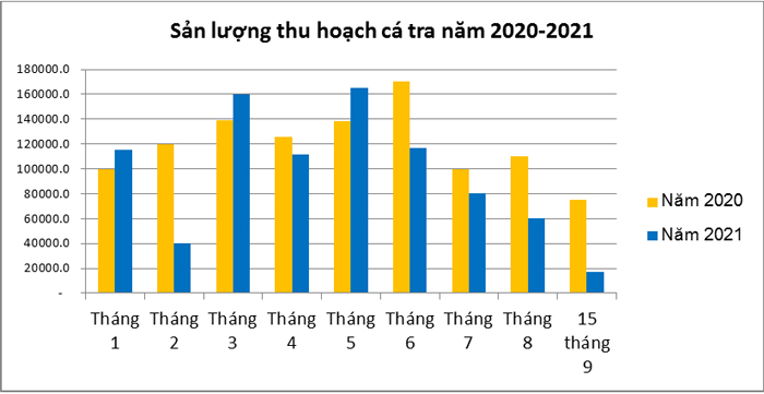 Biểu đồ sản lượng thu hoạch c&amp;aacute; tra năm 2020 -2021