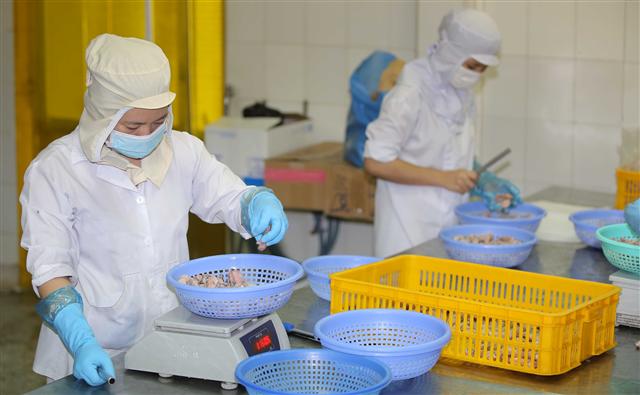 Không thể trì hoãn mở cửa kinh tế