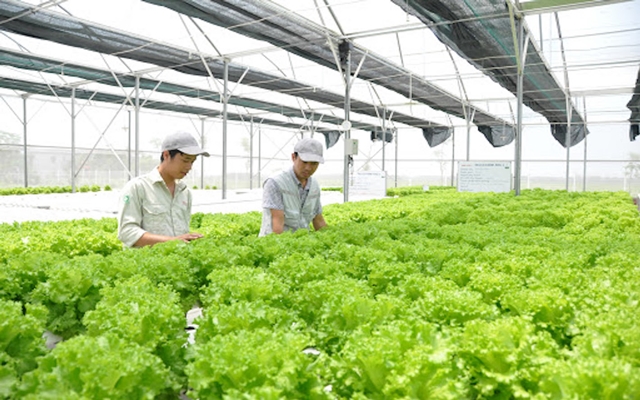 Th&amp;aacute;o gỡ những vướng mắc trong ng&amp;agrave;nh n&amp;ocirc;ng nghiệp trong dịch  COVID-19 cần giải quyết sớm để ph&amp;aacute;t triển kinh tế ở B&amp;igrave;nh Dương