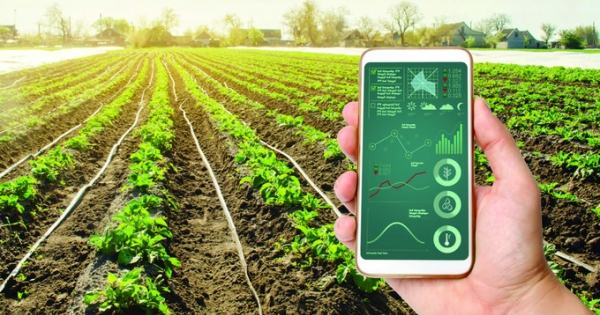 Phao cứu sinh giúp hợp tác xã chuyển đổi số hiệu quả và bền vững