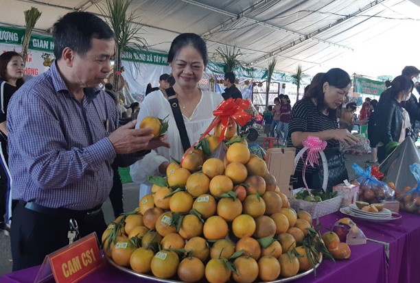 Cam Cao Phong được chọn v&amp;agrave;o Top 100 đặc sản qu&amp;agrave; tặng Việt Nam.