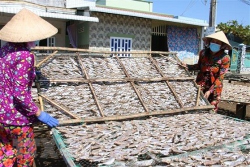 Ảnh minh họa Ảnh minh họa