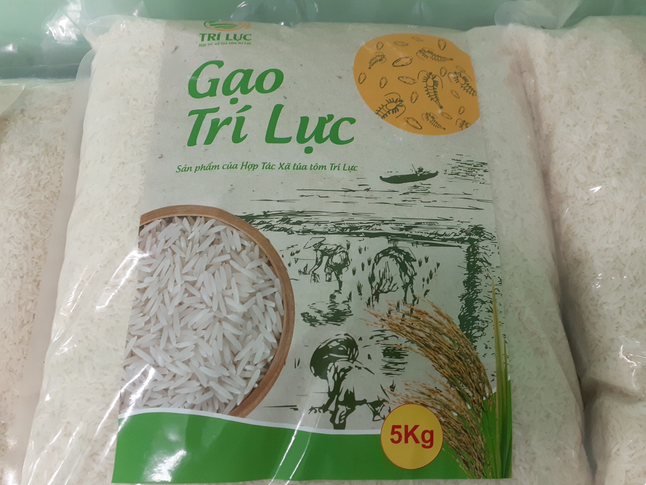 Sản phẩm gạo Tr&amp;iacute; Lực