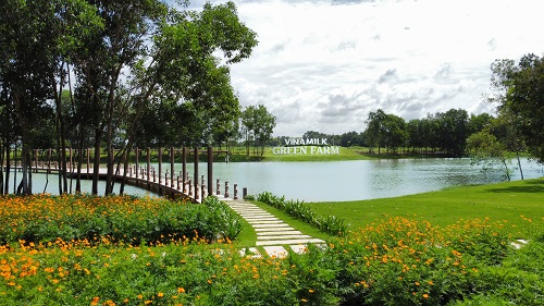 Vinamilk hiện c&amp;oacute; 03 trang trại sinh th&amp;aacute;i Vinamilk Green Farm tại T&amp;acirc;y Ninh, Thanh H&amp;oacute;a, Quảng Ng&amp;atilde;i với hơn 20.000 b&amp;ograve; sữa