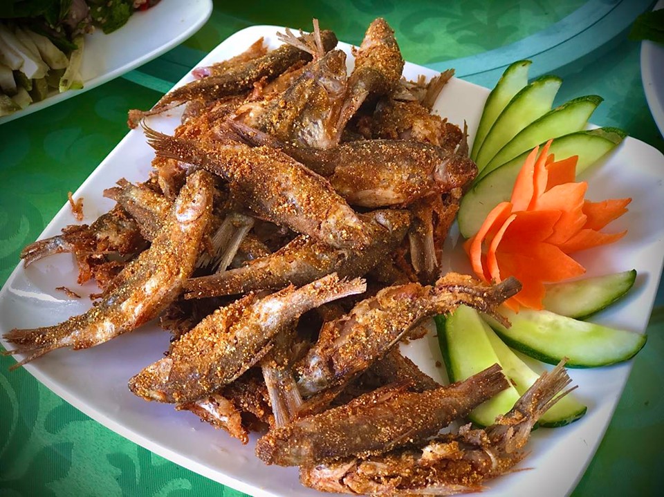 C&amp;aacute; th&amp;iacute;nh Tử Đ&amp;agrave;