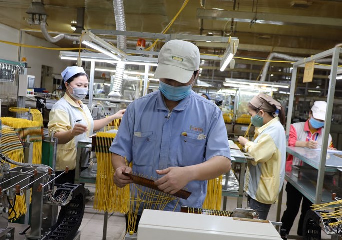 C&amp;ocirc;ng ty Sankor Việt Nam đ&amp;oacute;ng g&amp;oacute;p t&amp;iacute;ch cực v&amp;agrave;o kim ngạch xuất khẩu của tỉnh H&amp;ograve;a B&amp;igrave;nh