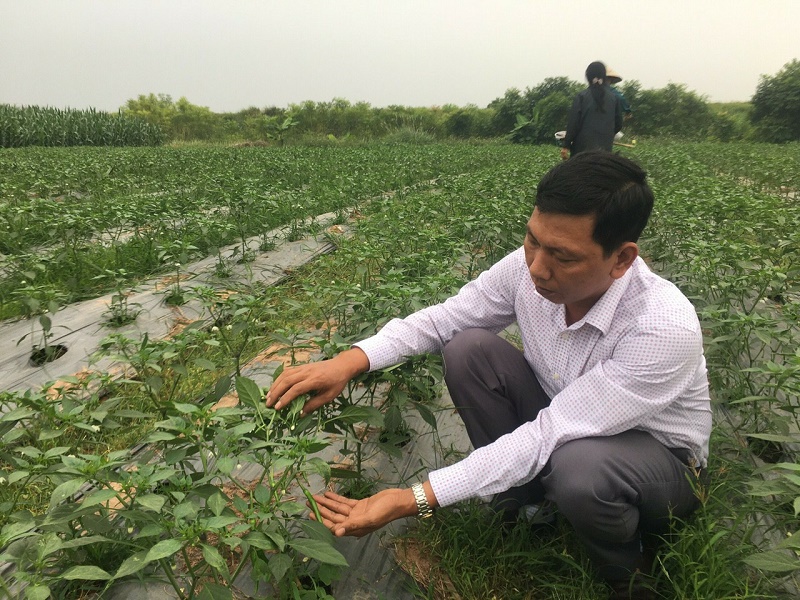 HTX n&amp;ocirc;ng nghiệp Thượng N&amp;ocirc;ng (x&amp;atilde; D&amp;acirc;n Quyền)