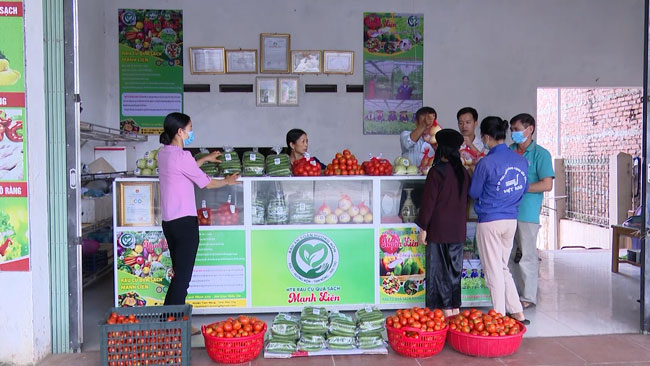 Điểm b&amp;aacute;n h&amp;agrave;ng của HTX rau củ quả sạch Mạnh Li&amp;ecirc;n (x&amp;atilde; Hương Nộn).