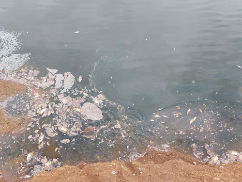 Thanh Hóa: Phạt Công ty KP Phúc Thịnh 150 triệu đồng do xả thải trái phép