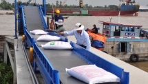 Cơ hội cho gạo Việt nâng tầm giá trị
