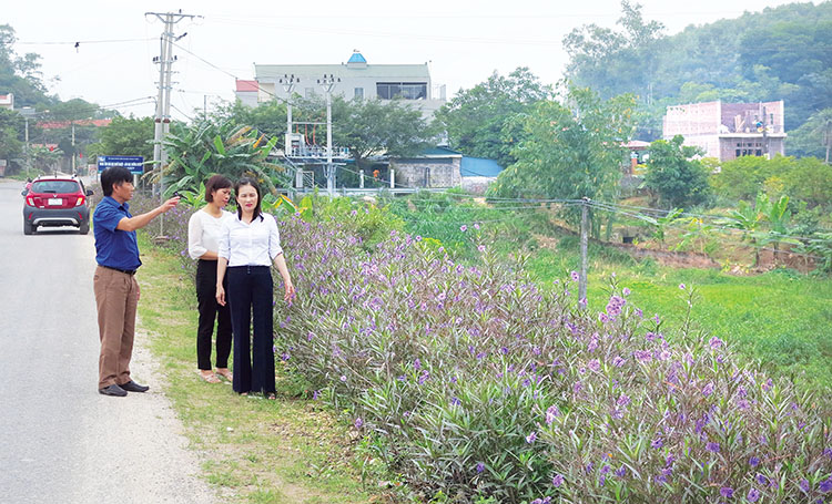 Huyện Thanh Thủy trồng được nhiều con đường hoa nhờ c&amp;ocirc;ng t&amp;aacute;c