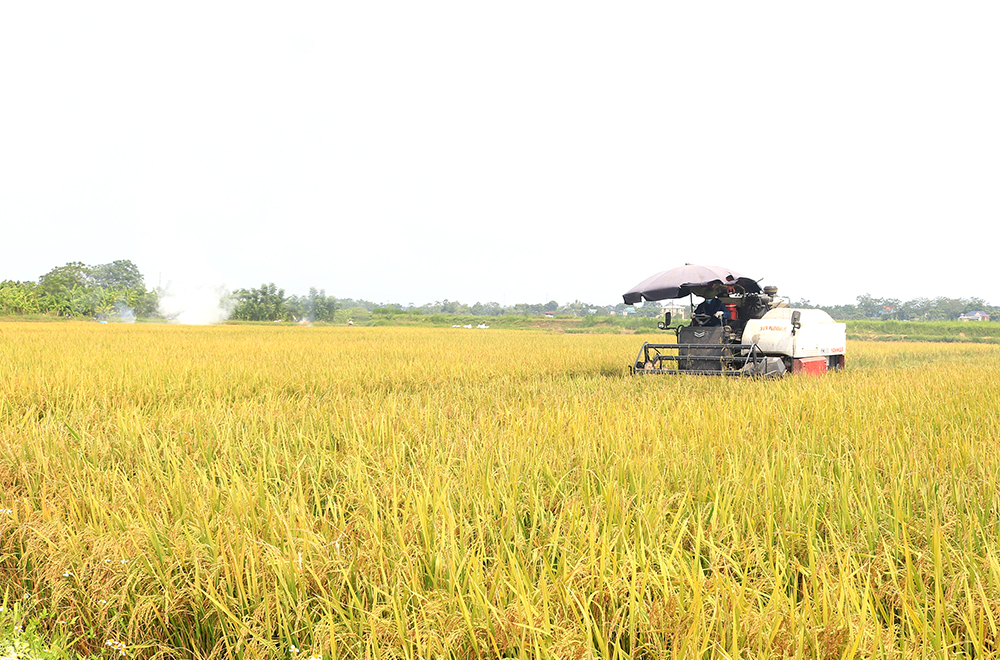 M&amp;ocirc; h&amp;igrave;nh &amp;ldquo;D&amp;acirc;n vận kh&amp;eacute;o&amp;rdquo; trong c&amp;ocirc;ng t&amp;aacute;c dồn đổi ruộng đất của x&amp;atilde; Thanh H&amp;agrave; (Thanh Ba)