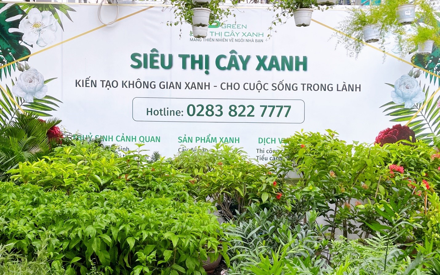 VsetNature đi đầu dịch vụ cung cấp c&amp;acirc;y xanh