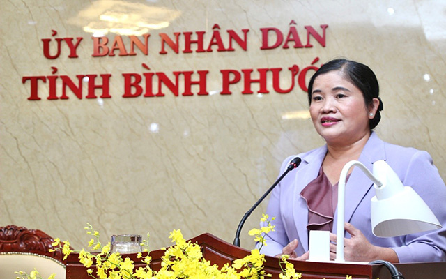 Ph&amp;oacute; B&amp;iacute; thư tỉnh ủy, Chủ tịch UBND tỉnh Trần Tuệ Hiền ph&amp;aacute;t biểu tại hội thảo