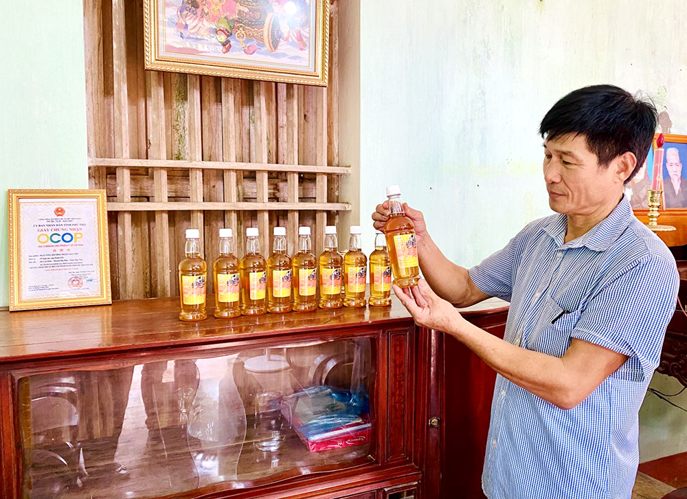 Tổ hợp t&amp;aacute;c ong Đo&amp;agrave;n Kết x&amp;atilde; Gia Điền đạt sản phẩm OCOP 3 sao