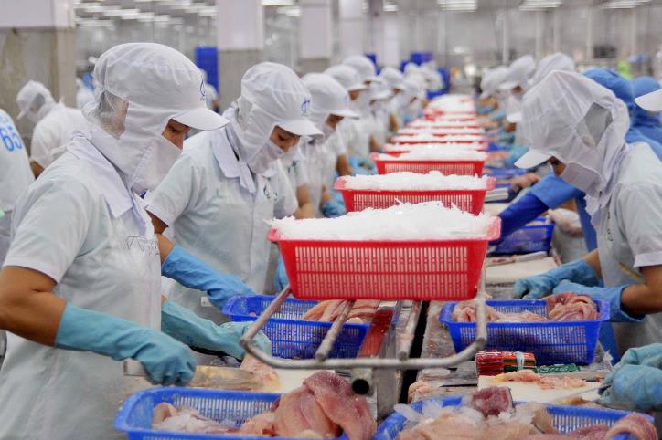 FSIS ra đ&amp;aacute;nh gi&amp;aacute; ban đầu, doanh nghiệp c&amp;aacute; tra Việt cần lập tức chấn chỉnh