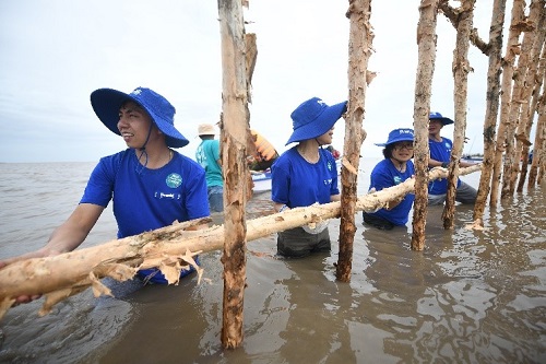 Với 25ha rừng được khoanh nu&amp;ocirc;i t&amp;aacute;i sinh, sẽ c&amp;oacute; gần 2.400m h&amp;agrave;ng r&amp;agrave;o được dựng n&amp;ecirc;n từ 6.800 cọc cừ tr&amp;agrave;m v&amp;agrave; gần 4.700m lưới; được duy tr&amp;igrave;, bảo dưỡng h&amp;agrave;ng năm