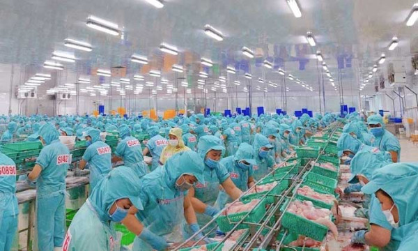 Sao Mai Group kiến tạo những dấu ấn đặc biệt