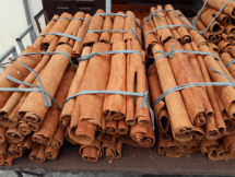 Thị trường rộng mở và tích cực cho cây quế Việt Nam