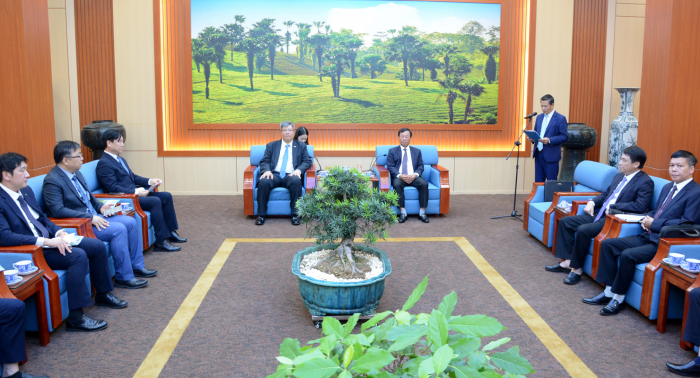 Quang cảnh buổi l&amp;agrave;m việc