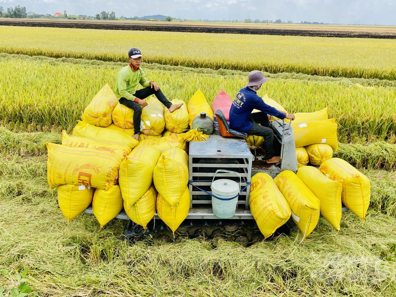 Đồng Th&amp;aacute;p k&amp;ecirc;u gọi c&amp;aacute;c doanh nghiệp c&amp;ugrave;ng tham gia Dự &amp;aacute;n TRVC.