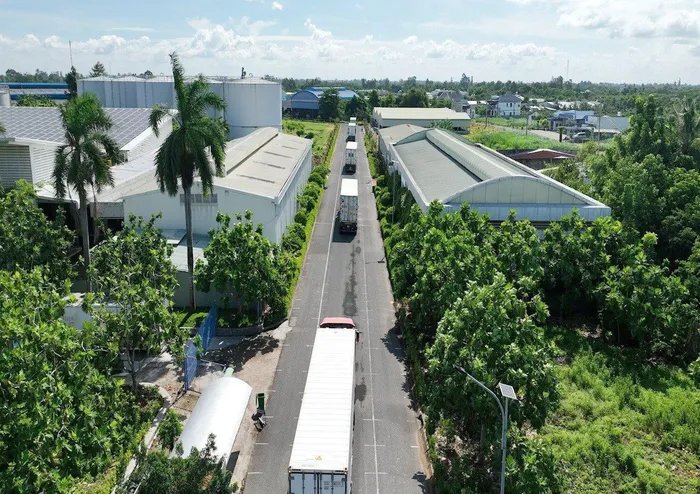 C&amp;acirc;y xanh l&amp;agrave; m&amp;aacute;y lọc kh&amp;ocirc;ng kh&amp;iacute; hữu hiệu được Astar ứng dụng trong quy hoạch tổng thể cụm c&amp;ocirc;ng nghiệp Sao Mai