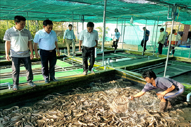 C&amp;aacute;c đơn vị li&amp;ecirc;n quan thường xuy&amp;ecirc;n tổ chức kiểm tra việc sử dụng vốn t&amp;iacute;n dụng ch&amp;iacute;nh s&amp;aacute;ch sau khi cho vay