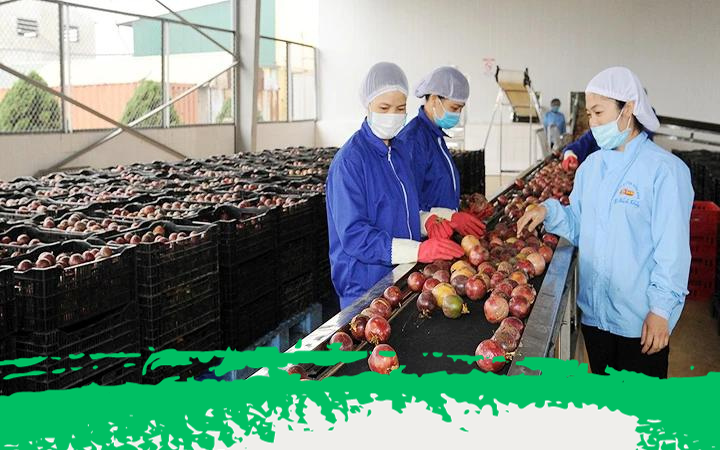 Huyện Ph&amp;uacute; Gi&amp;aacute;o trưng b&amp;agrave;y, giới thiệu c&amp;aacute;c sản phẩm n&amp;ocirc;ng sản đặc trưng tại Hội chợ thương mại, n&amp;ocirc;ng sản v&amp;agrave; thiết bị n&amp;ocirc;ng nghiệp năm 2023