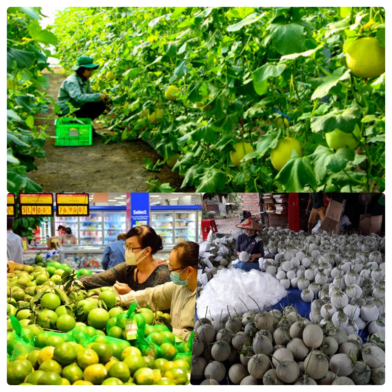 B&amp;igrave;nh Dương c&amp;oacute; nhiều tiềm năng để đẩy mạnh n&amp;ocirc;ng sản xuất khẩu