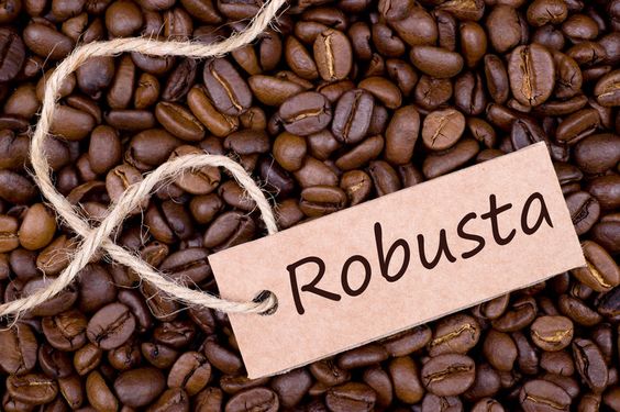 Gi&amp;aacute; c&amp;agrave; ph&amp;ecirc; Robusta tăng vọt 4,3%, tiến s&amp;aacute;t mốc quan trọng 5.000 USD/tấn