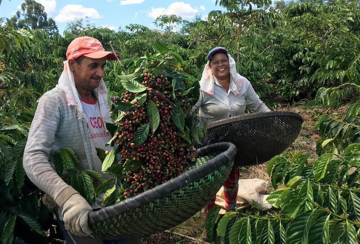 Thị trường ca cao, c&amp;agrave; ph&amp;ecirc; v&amp;agrave; đường biến động mạnh