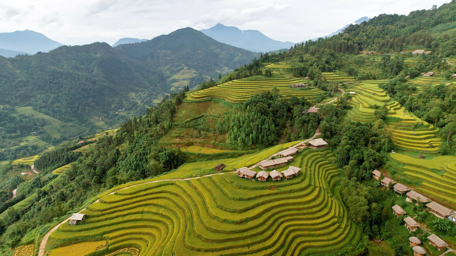 Bảo vệ t&amp;agrave;i nguy&amp;ecirc;n thi&amp;ecirc;n nhi&amp;ecirc;n v&amp;agrave; gi&amp;aacute; trị văn h&amp;oacute;a l&amp;agrave; cốt l&amp;otilde;i của du lịch bền vững