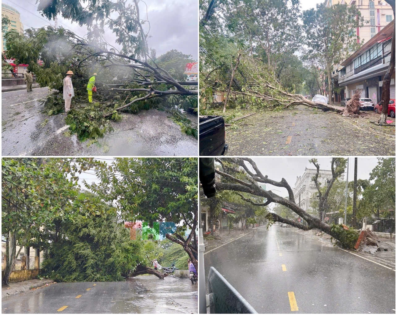 Ngay l&amp;uacute;c n&amp;agrave;y tại Hải Ph&amp;ograve;ng gi&amp;oacute; r&amp;iacute;t h&amp;uacute; li&amp;ecirc;n tục,  giật mạnh dữ dội, c&amp;acirc;y đổ la liệt, người d&amp;acirc;n căng minh ra sức chống b&amp;atilde;o