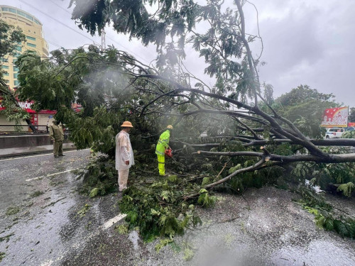 Hải Phòng thực hiện giới nghiêm, đề nghị người dân không ra khỏi nhà trước 20h ngày 7/9