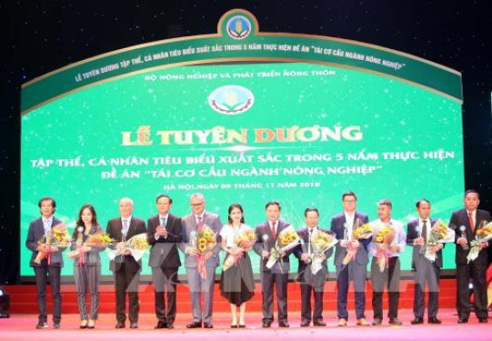 Tuyên dương 138 cá nhân, đơn vị xuất sắc trong thực hiện tái cơ cấu nông nghiệp