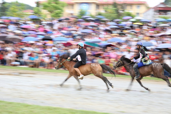 Thêm một giải đua ngựa độc đáo trên miền cao Tây Bắc